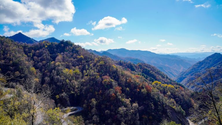 Luxury vs. Affordable: Finding Your Perfect Outdoor Adventure